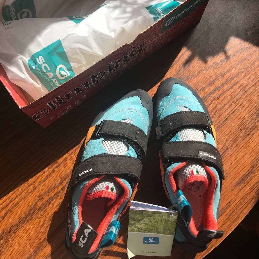 Scarpa Force V